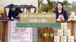 [REVIEW OCOP] Mật ong hoa rừng ngập mặn - giọt mật của thời gian