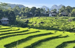 Pù Luông phát triển kinh tế,&nbsp;giảm nghèo bền vững