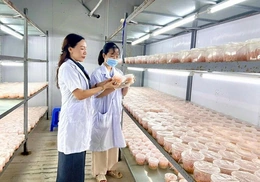 Từ trụ cột hỗ trợ đến động lực phát triển