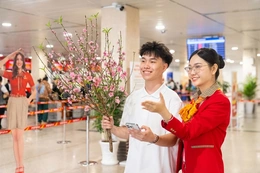 Vietjet mang sắc mai, đào theo những chuyến bay Xuân 2026