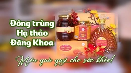 [REVIEW OCOP] Đông trùng hạ thảo Đăng Khoa - Món quà quý cho sức khỏe!