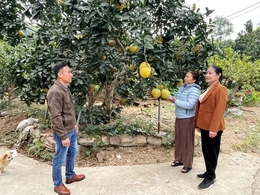 Biến nghị quyết thành hành động cụ thể