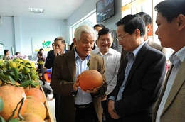 Đón gió vươn cao (Bài 1): Anh hùng trên vùng đất ngọt