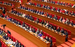 Nhà báo kiều bào đồng hành cùng báo chí trong nước, lan tỏa tin chính thống