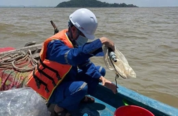 Kiểm soát và bảo vệ môi trường biển