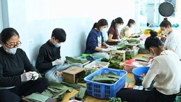 Các cơ sở sản xuất nem chua&nbsp;tất bật phục vụ thị trường cuối năm