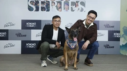 Phim giờ vàng VTV ẩn chứa nhiều bất ngờ với diễn viên “bốn chân” đóng vai chính