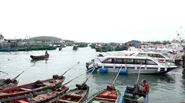 Chủ động ứng phó rét đậm, rét hại và gió mạnh trên biển