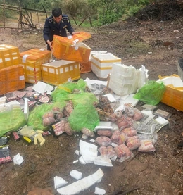 Tiêu hủy 154kg lạp xưởng, ba chỉ bò... không rõ nguồn gốc xuất xứ