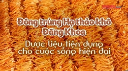 [REVIEW OCOP] Đông trùng hạ thảo khô Đăng Khoa - Dược liệu tiện dụng cho cuộc sống hiện đại