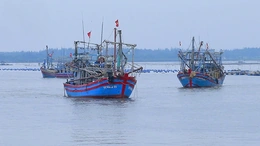 Hướng ra biển lớn