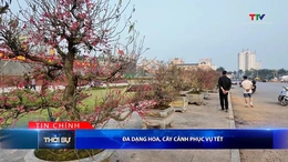 Bản tin Thời sự tối 30/1/2026: Đa dạng hoa, cây cảnh phục vụ Tết