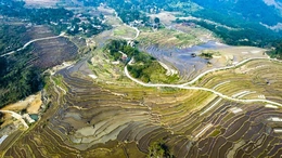 Du lịch xứ Thanh tăng tốc bứt phá