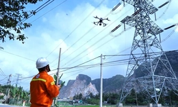 Bảo đảm lưới truyền tải liên tục, an toàn dịp Tết