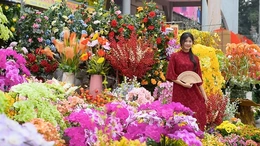 Người trẻ giữ hồn tết truyền thống