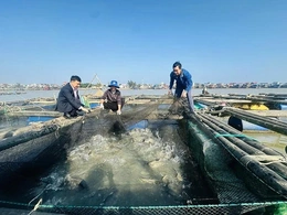 Tiếp sức cho hộ nghèo sản xuất, kinh doanh