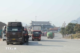 Cấp bách hướng dẫn kiểm tra thực phẩm nhập khẩu, bảo đảm thông quan kịp thời