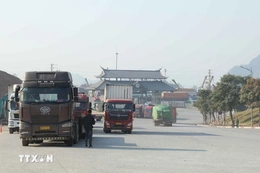 Bộ Y tế thông tin về phản ánh vướng mắc trong quá trình triển khai Nghị định 46