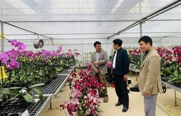 Đổi mới tư duy, nâng tầm các HTX nông nghiệp