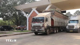 Tạm dừng áp dụng Nghị định số 46 về an toàn thực phẩm đến hết ngày 15/4