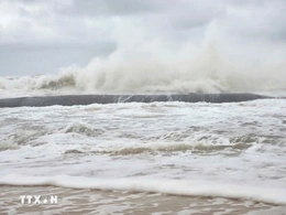 Sắp có áp thấp đầu tiên trong năm 2026 trên biển Đông, Việt Nam có ảnh hưởng?