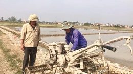 Thiệu Toán đảm bảo sản xuất&nbsp;vụ xuân trong khung thời vụ