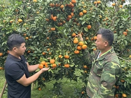 Trưởng thôn 9X tâm huyết với công việc tập thể