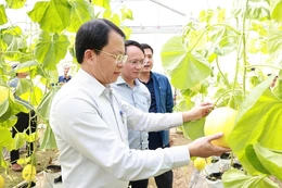 Đảng bộ xã Thiệu Hóa vững niềm tin bước vào xuân mới