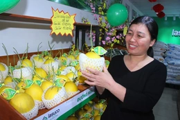 Thêm 2 Cửa hàng giới thiệu rau quả sạch Lam Sơn tại trung tâm phường Hạc Thành đi vào hoạt động