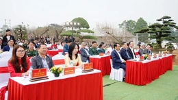 Khai mạc Hội chợ hoa đào xã Hợp Tiến