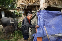 Thanh Hóa chủ động ứng phó rét đậm, rét hại, bảo vệ sức khỏe Nhân dân và sản xuất