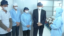 “ Chất lượng hơn số lượng” - Nâng cao chất sản phẩm OCOP xứ Thanh giai đoạn 2026–2030