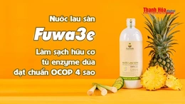 [REVIEW OCOP] Nước lau sàn Fuwa3e – Giải pháp làm sạch hữu cơ từ enzyme dứa đạt chuẩn OCOP 4 sao
