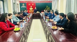 Phó Chủ tịch HĐND tỉnh Nguyễn Quang Hải thăm, chúc Tết một số đơn vị ngành tài chính - ngân hàng