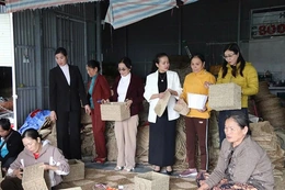 Từ đam mê đến tạo việc làm cho nhiều lao động