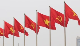 Người ứng cử phải đáp ứng các tiêu chuẩn nào?