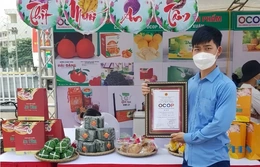 Thị trường thực phẩm chế biến sẵn tết 2026: Tiện lợi nhưng không đánh đổi chất lượng