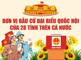 [Infographics] - Đơn vị bầu cử đại biểu Quốc hội của 28 tỉnh trên cả nước