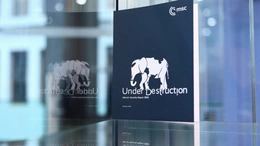 Munich 2026: Khi châu Âu thôi “đi nhón chân” trước Mỹ