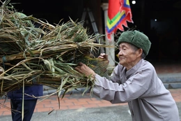 Nét đẹp ngày xuân ở làng Động Bồng