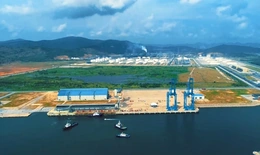 Nhịp xuân trên bến cảng