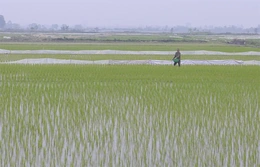 Nông dân tích cực xuống đồng đầu xuân