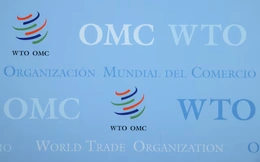 EU thúc đẩy điều chỉnh quy tắc cốt lõi của WTO nhằm tái cân bằng thương mại với Trung Quốc