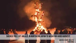 Nhật Bản rộn ràng lễ hội dân gian đón Xuân