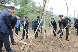 Các đồng chí lãnh đạo tỉnh dự Lễ phát động “Tết trồng cây đời đời nhớ ơn Bác Hồ” xuân Bính Ngọ