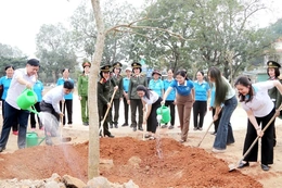 Hội LHPN tỉnh Thanh Hóa phát động hưởng ứng Tết trồng cây
