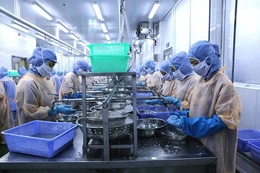 Xuất khẩu nông sản: Kỳ vọng từ những ngày đầu năm