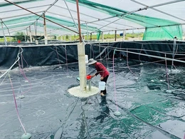 Sẵn sàng cho vụ nuôi trồng thủy sản xuân hè 2026