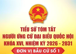 [Infographics] Tiểu sử tóm tắt người ứng cử Đại biểu Quốc hội khóa XVI - Đơn vị bầu cử số 1 tại Thanh Hóa