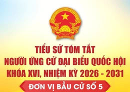 [Infographics] Tiểu sử tóm tắt người ứng cử Đại biểu Quốc hội khóa XVI - Đơn vị bầu cử số 5 tại Thanh Hóa